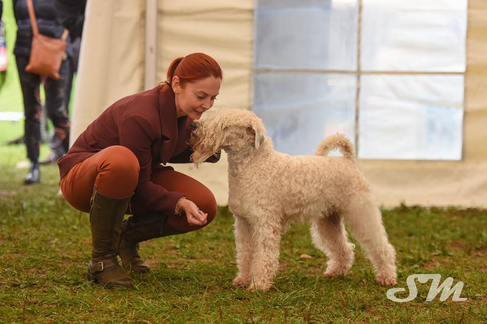 Terrier Speciality Show in Slovenia